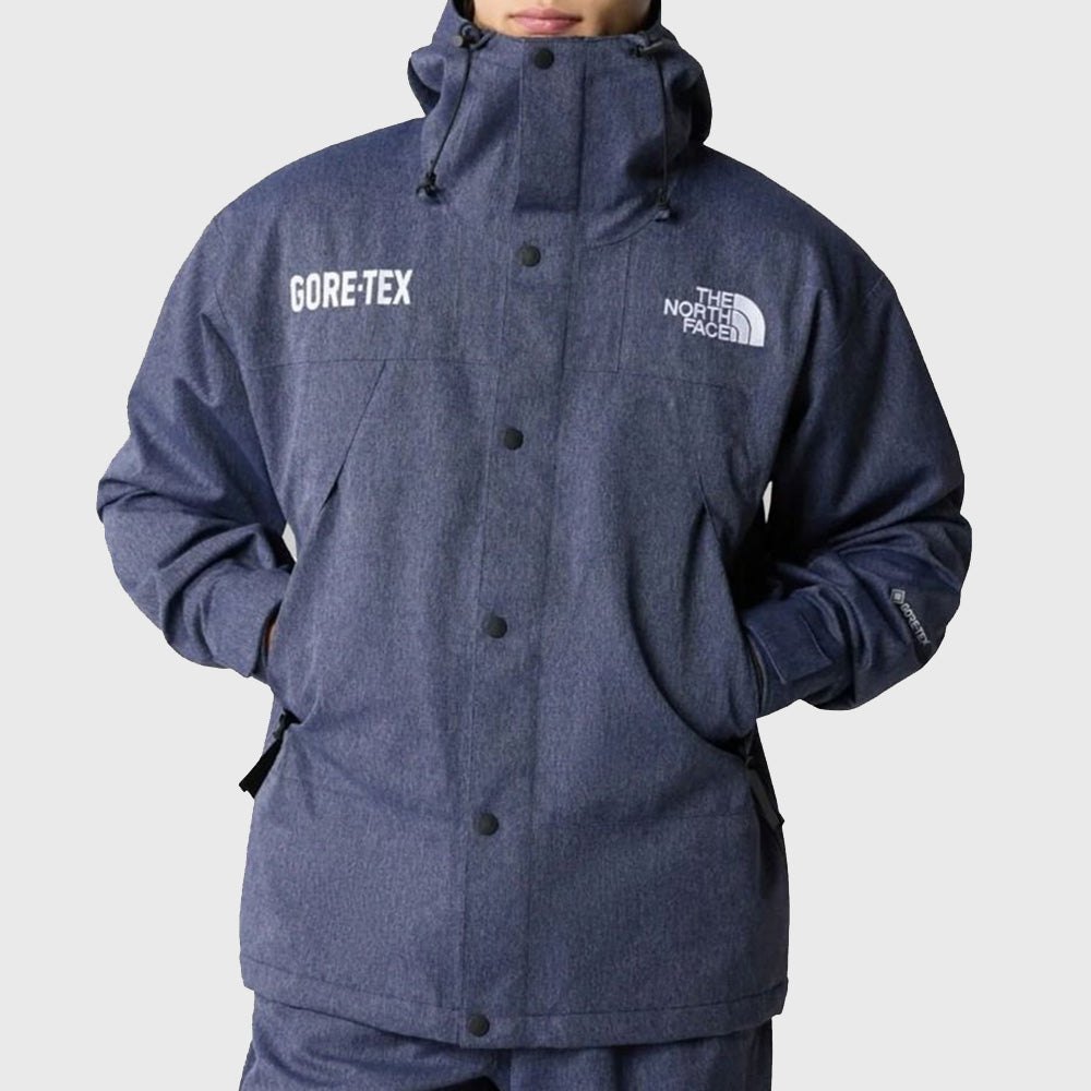 THE NORTH FACE MEN'S GTX MTN JACKET