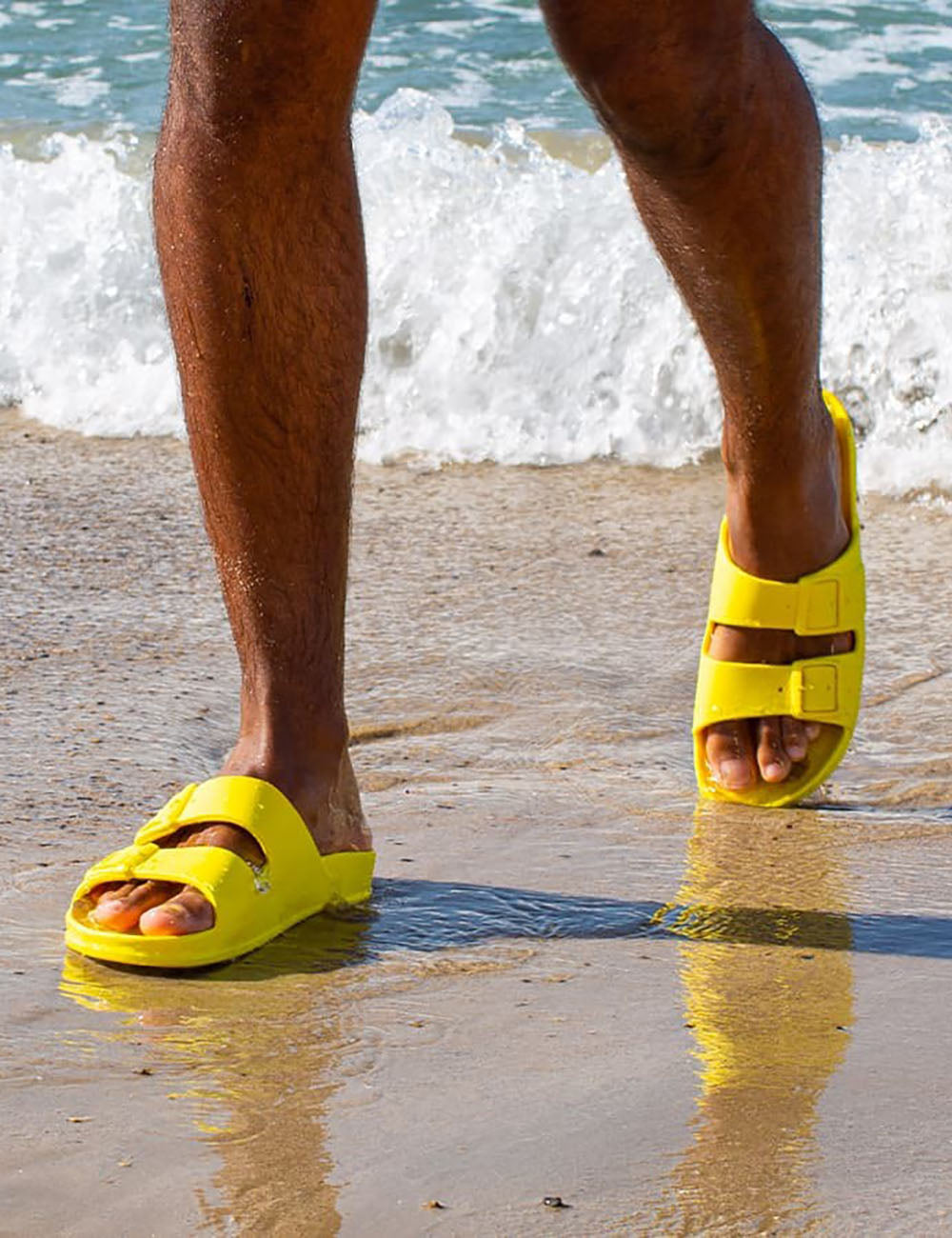 CACATOES ΣΑΓΙΟΝΑΡΕΣ