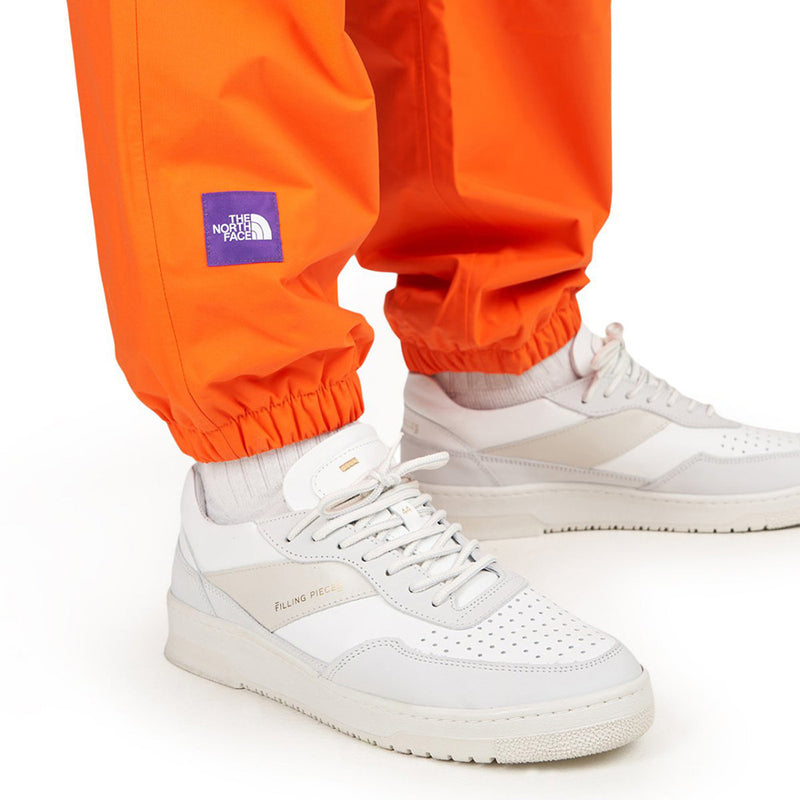 THE NORTH FACE M TAE PANT