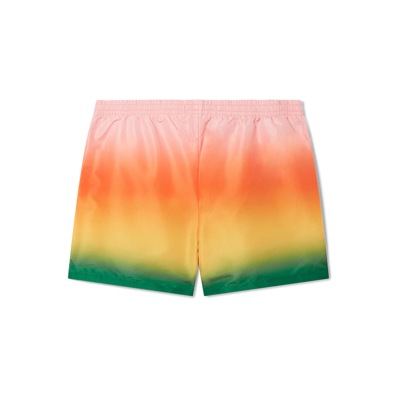 MENS PRINTED SWIM SHORTS